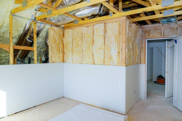 Best Soundproof Insulation  in Cheswold, DE